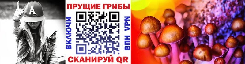 Купить закладки  Отрадный  Псилоцибиновые грибы ЛСД 